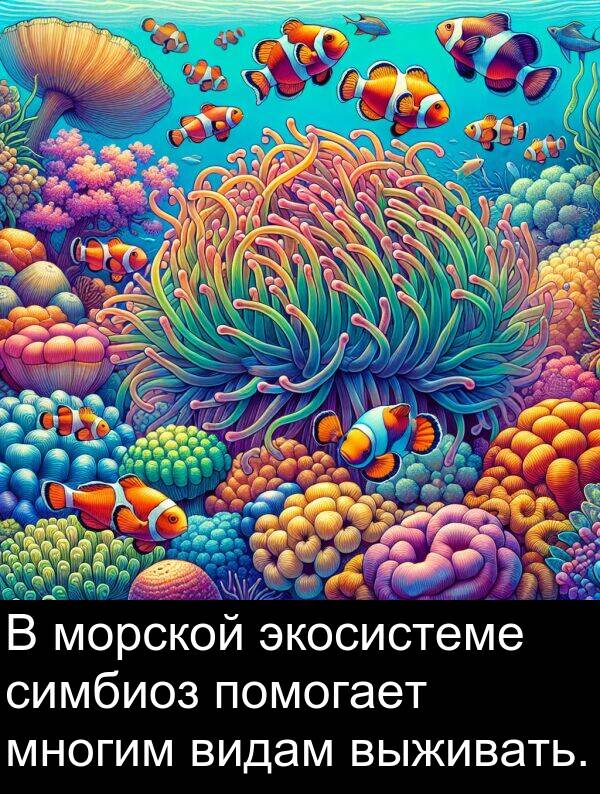 экосистеме: В морской экосистеме симбиоз помогает многим видам выживать.
