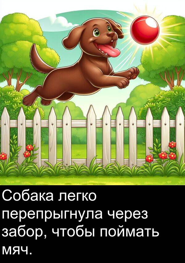 легко: Собака легко перепрыгнула через забор, чтобы поймать мяч.