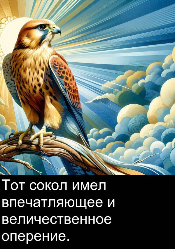 величественное: Тот сокол имел впечатляющее и величественное оперение.