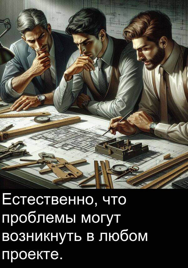 проекте: Естественно, что проблемы могут возникнуть в любом проекте.
