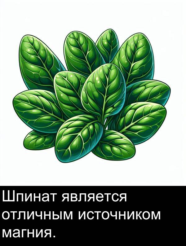 является: Шпинат является отличным источником магния.