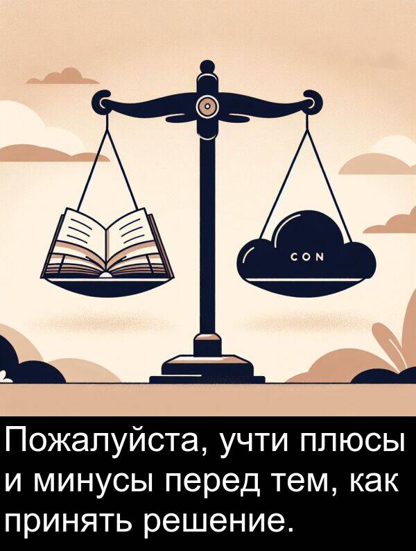 принять: Пожалуйста, учти плюсы и минусы перед тем, как принять решение.