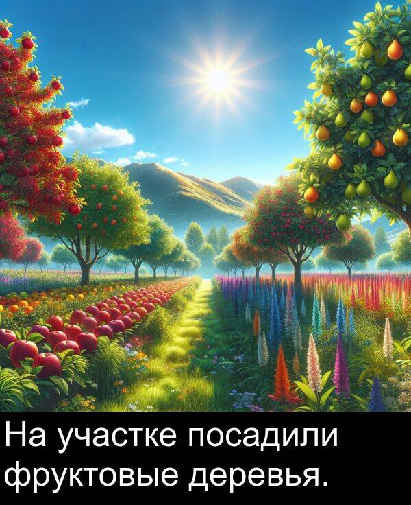 участке: На участке посадили фруктовые деревья.