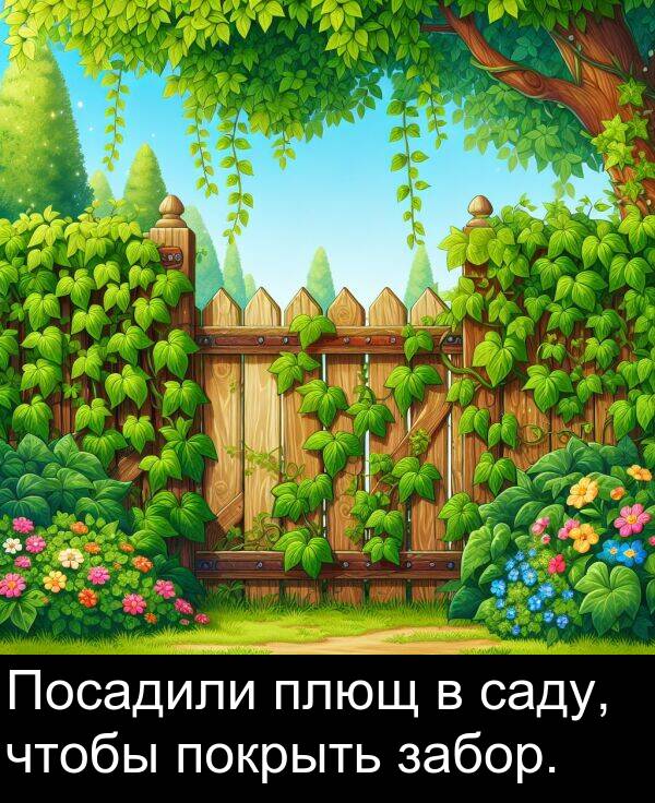 саду: Посадили плющ в саду, чтобы покрыть забор.
