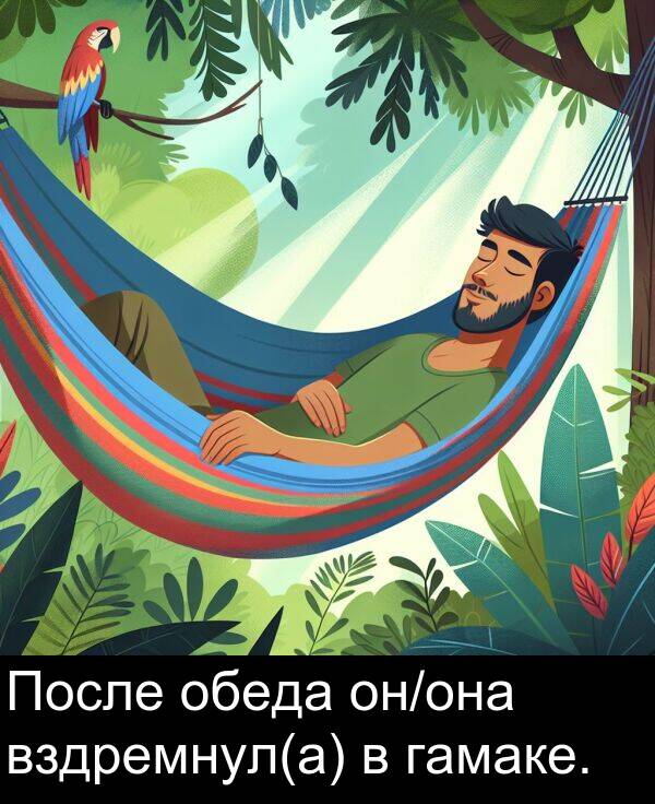 обеда: После обеда он/она вздремнул(а) в гамаке.