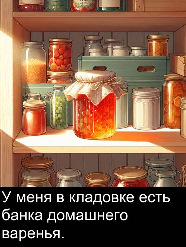 кладовке: У меня в кладовке есть банка домашнего варенья.