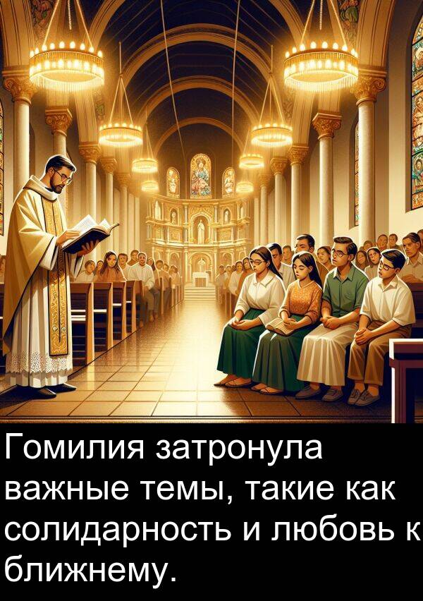 солидарность: Гомилия затронула важные темы, такие как солидарность и любовь к ближнему.