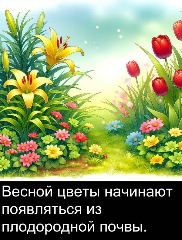 почвы: Весной цветы начинают появляться из плодородной почвы.