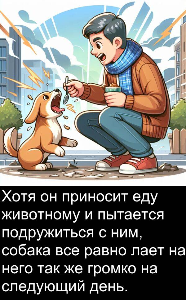 пытается: Хотя он приносит еду животному и пытается подружиться с ним, собака все равно лает на него так же громко на следующий день.
