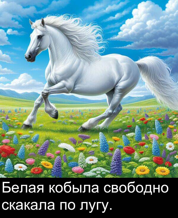 кобыла: Белая кобыла свободно скакала по лугу.