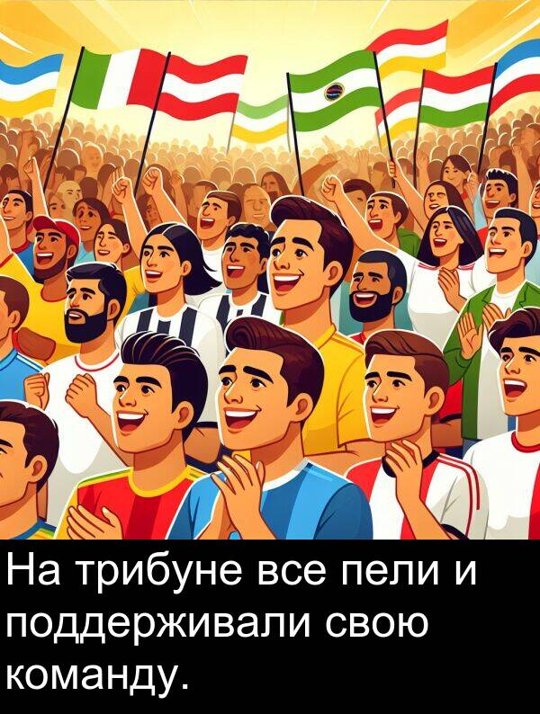 команду: На трибуне все пели и поддерживали свою команду.
