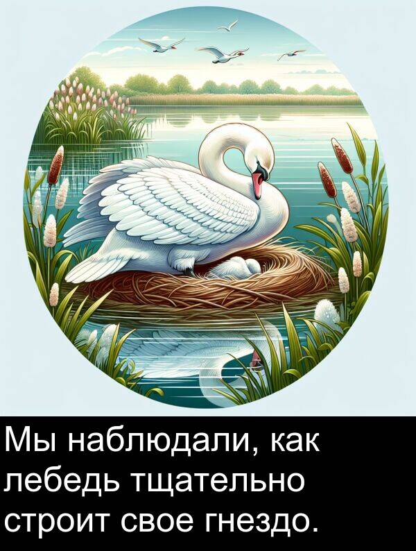свое: Мы наблюдали, как лебедь тщательно строит свое гнездо.