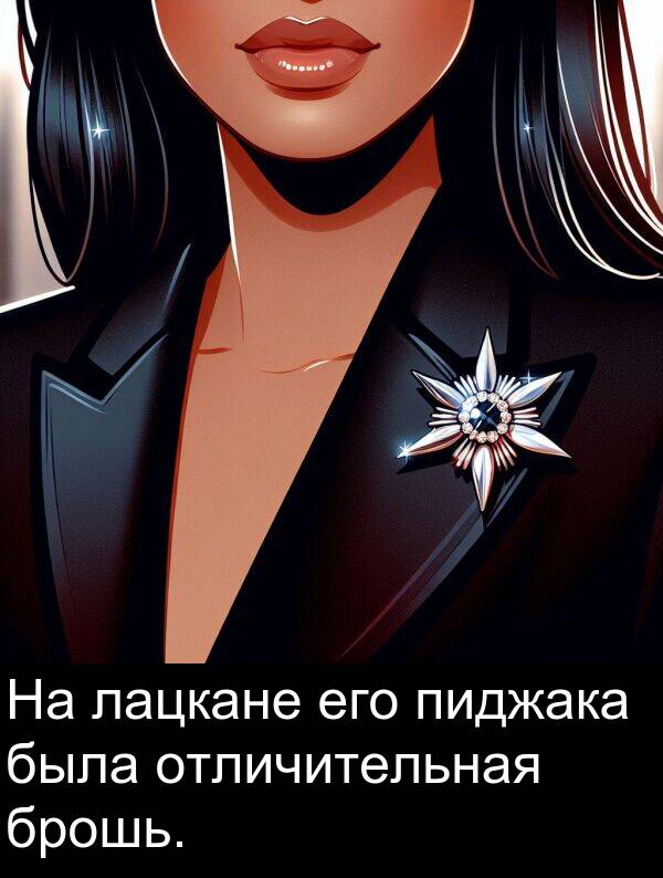 лацкане: На лацкане его пиджака была отличительная брошь.