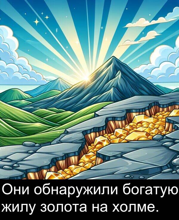 холме: Они обнаружили богатую жилу золота на холме.