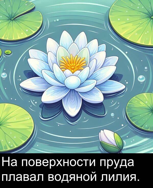 пруда: На поверхности пруда плавал водяной лилия.