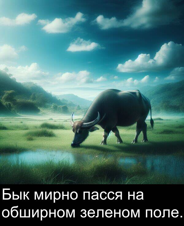 пасся: Бык мирно пасся на обширном зеленом поле.