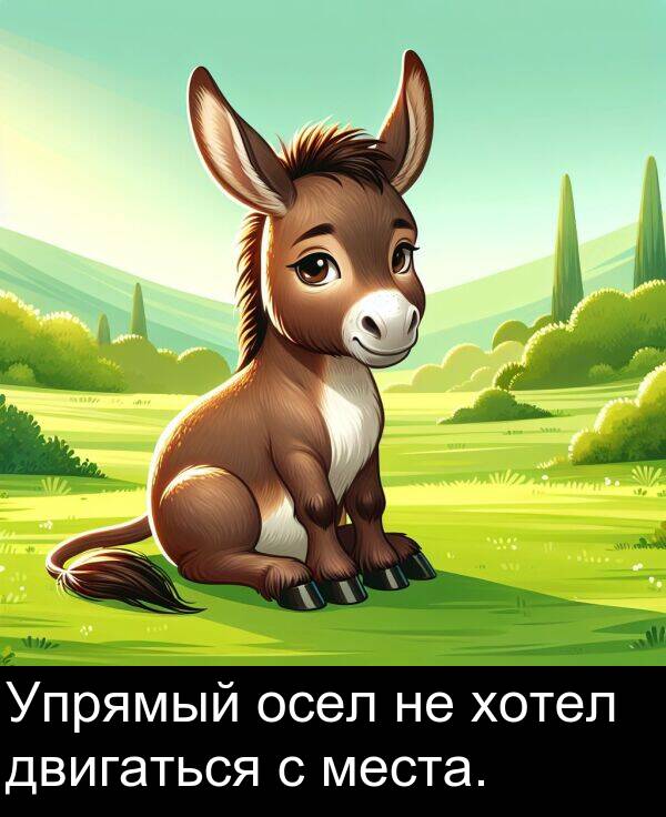 двигаться: Упрямый осел не хотел двигаться с места.