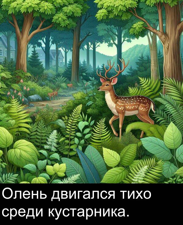 двигался: Олень двигался тихо среди кустарника.