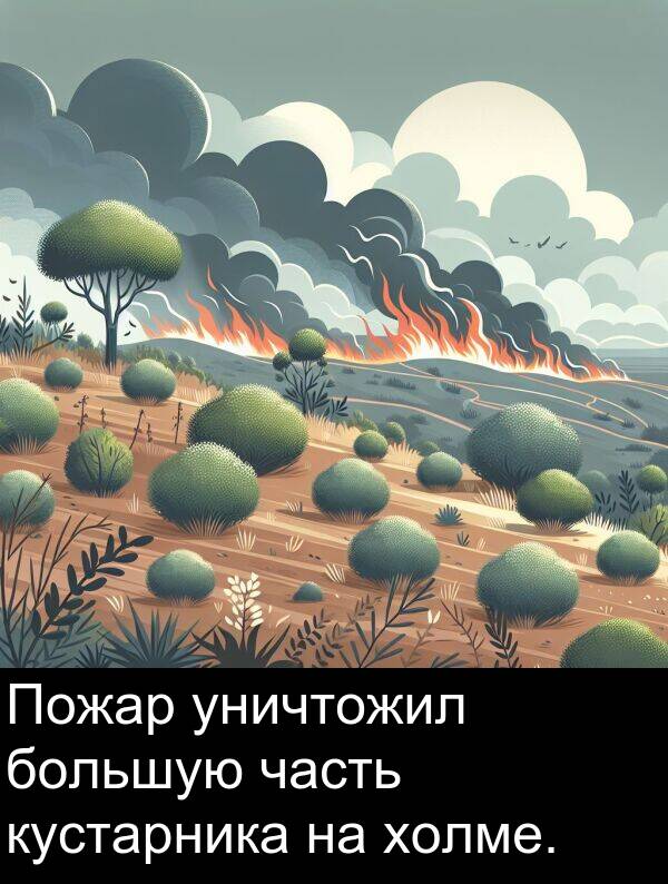 уничтожил: Пожар уничтожил большую часть кустарника на холме.