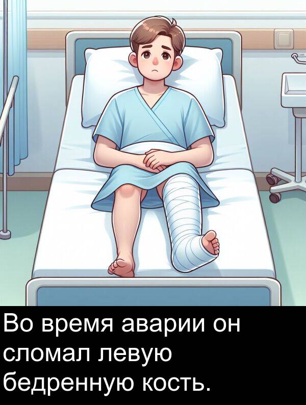 кость: Во время аварии он сломал левую бедренную кость.