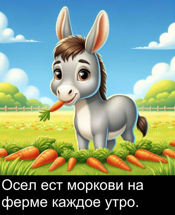 ест: Осел ест моркови на ферме каждое утро.