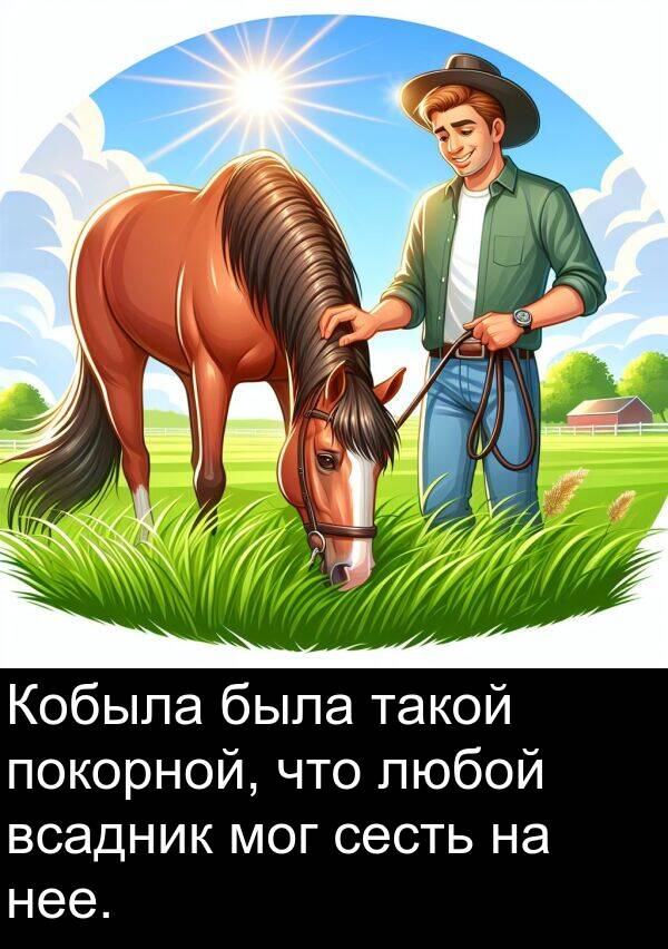 всадник: Кобыла была такой покорной, что любой всадник мог сесть на нее.