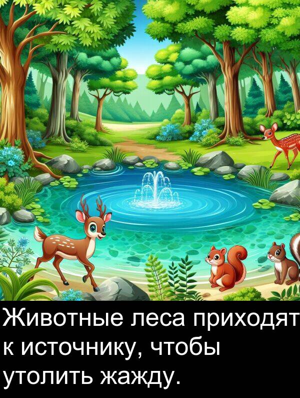 приходят: Животные леса приходят к источнику, чтобы утолить жажду.