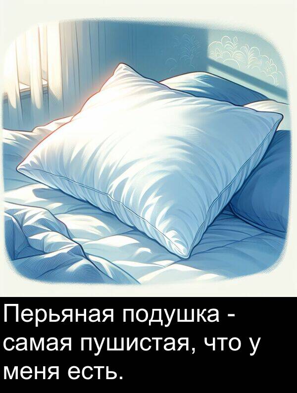 самая: Перьяная подушка - самая пушистая, что у меня есть.