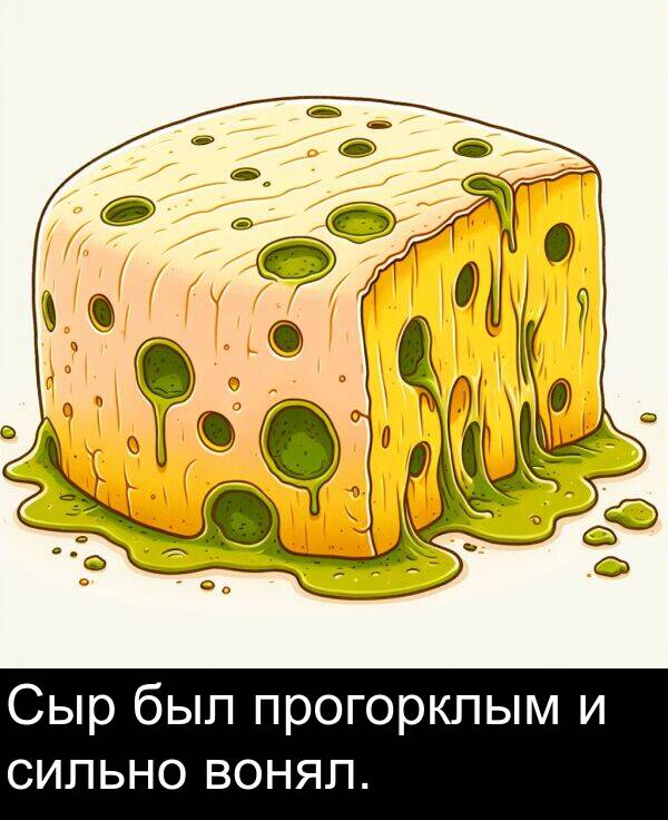 прогорклым: Сыр был прогорклым и сильно вонял.