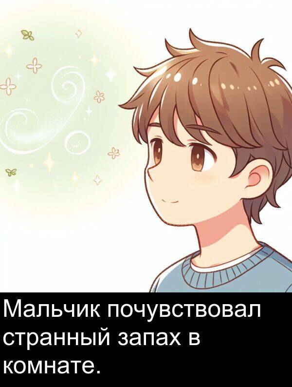 почувствовал: Мальчик почувствовал странный запах в комнате.