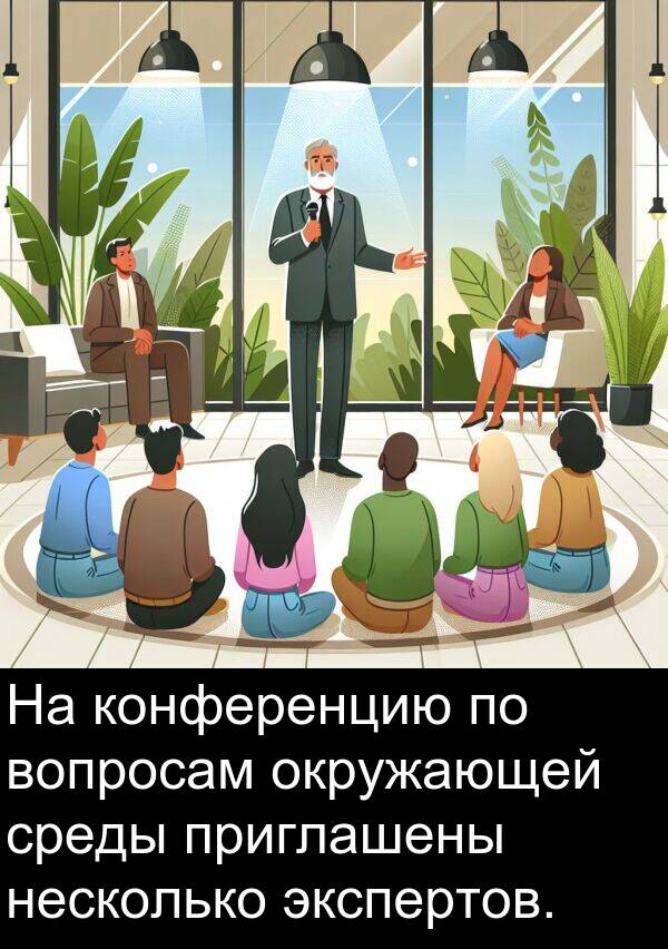 конференцию: На конференцию по вопросам окружающей среды приглашены несколько экспертов.