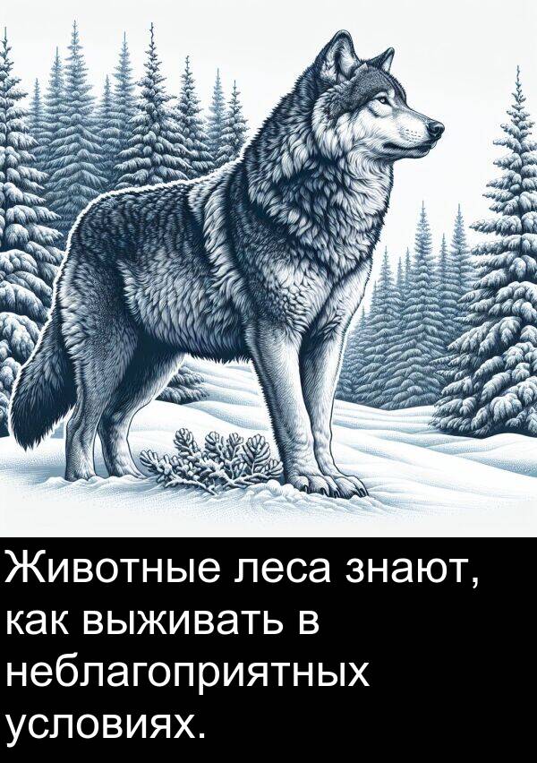 условиях: Животные леса знают, как выживать в неблагоприятных условиях.