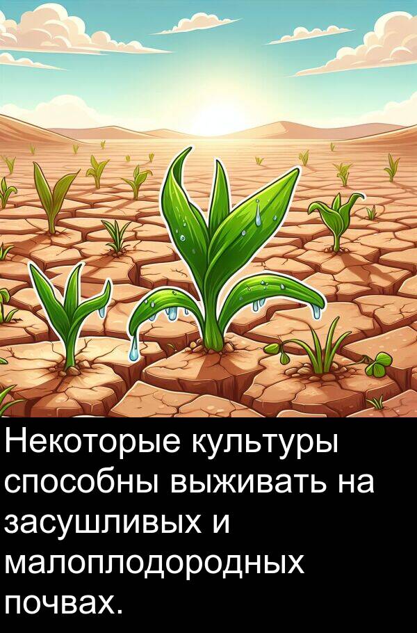 почвах: Некоторые культуры способны выживать на засушливых и малоплодородных почвах.