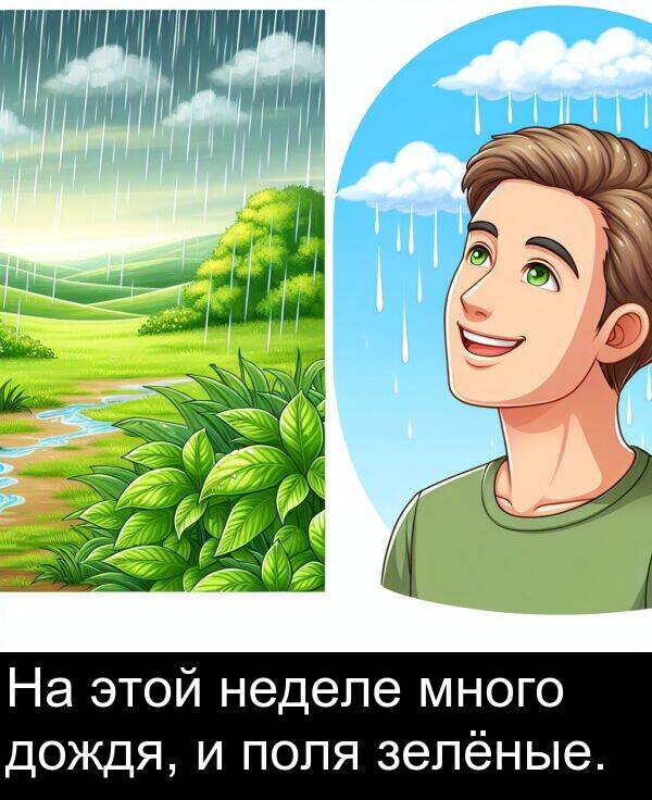 поля: На этой неделе много дождя, и поля зелёные.