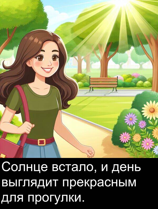 прогулки: Солнце встало, и день выглядит прекрасным для прогулки.