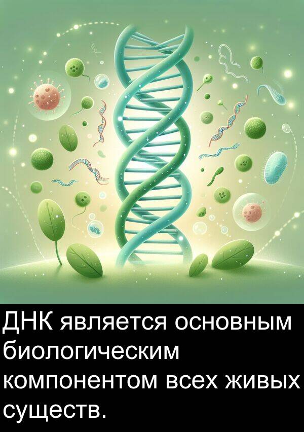 компонентом: ДНК является основным биологическим компонентом всех живых существ.