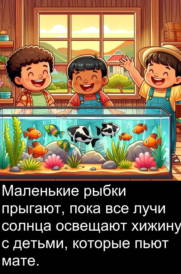 прыгают: Маленькие рыбки прыгают, пока все лучи солнца освещают хижину с детьми, которые пьют мате.