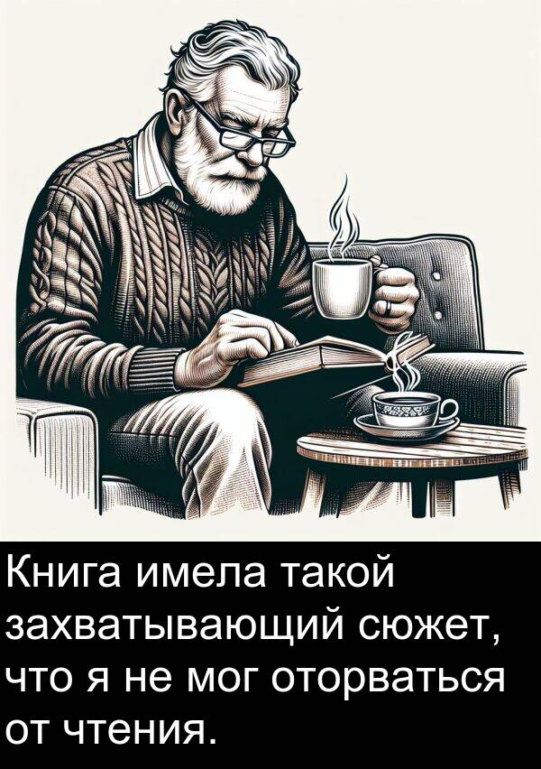такой: Книга имела такой захватывающий сюжет, что я не мог оторваться от чтения.