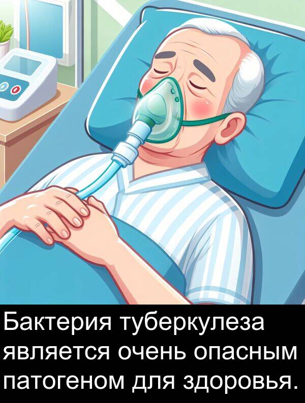 туберкулеза: Бактерия туберкулеза является очень опасным патогеном для здоровья.