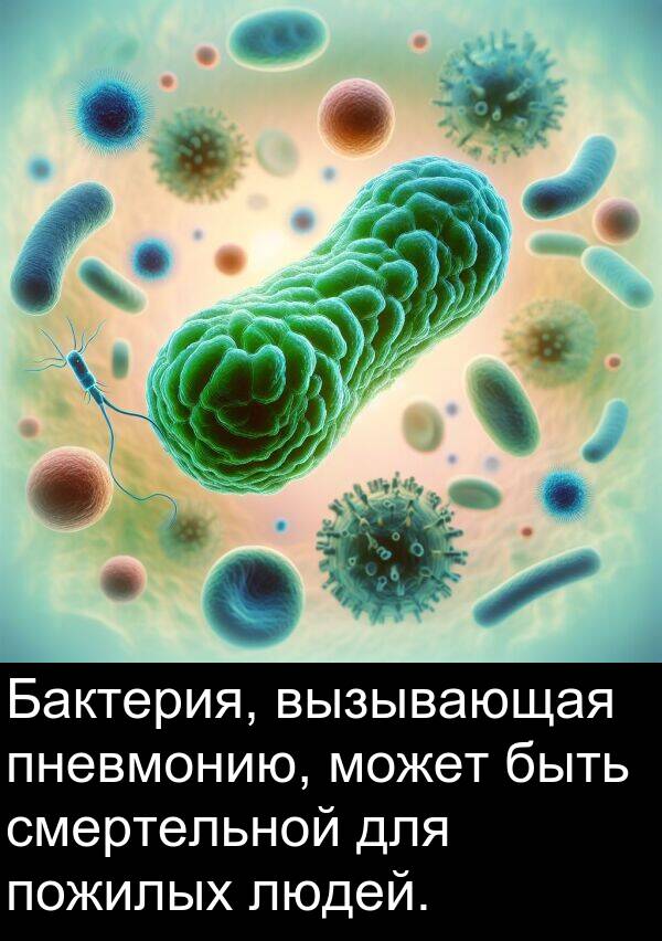 вызывающая: Бактерия, вызывающая пневмонию, может быть смертельной для пожилых людей.