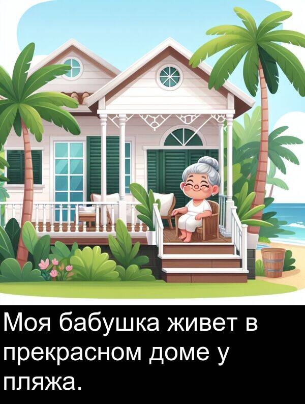 живет: Моя бабушка живет в прекрасном доме у пляжа.