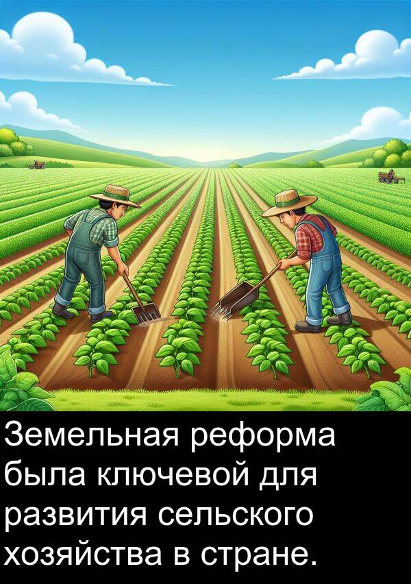ключевой: Земельная реформа была ключевой для развития сельского хозяйства в стране.