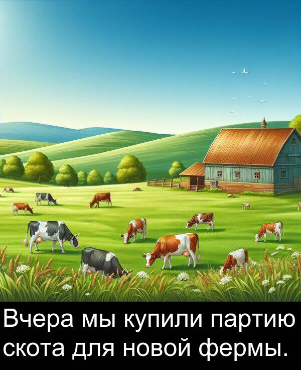новой: Вчера мы купили партию скота для новой фермы.