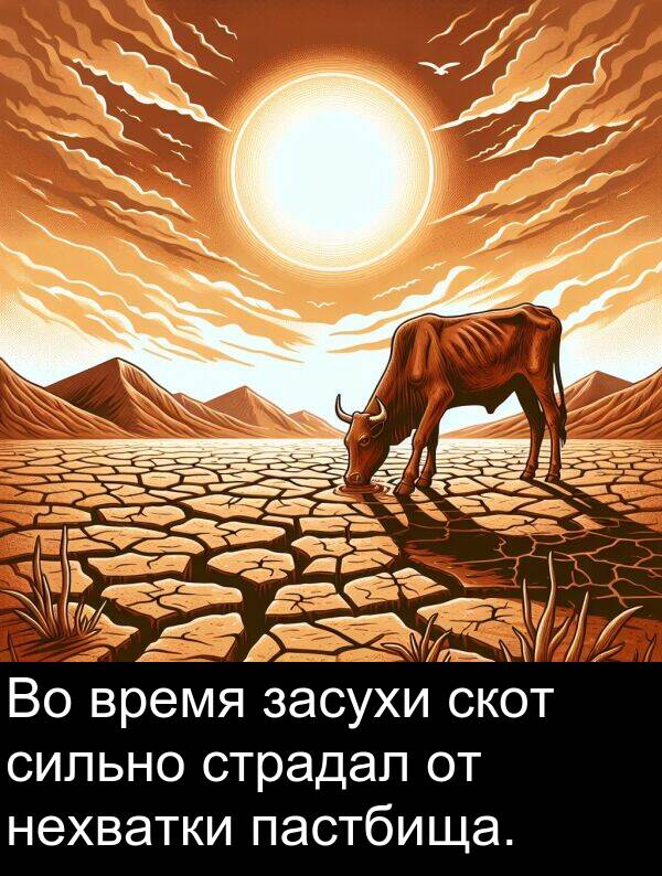 время: Во время засухи скот сильно страдал от нехватки пастбища.