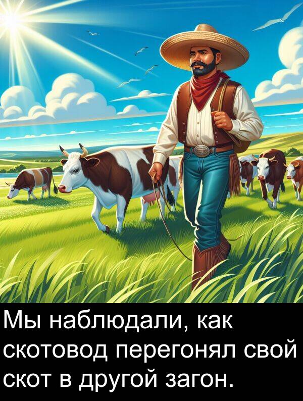 другой: Мы наблюдали, как скотовод перегонял свой скот в другой загон.