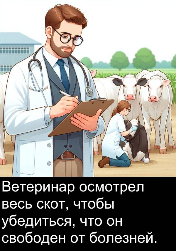 убедиться: Ветеринар осмотрел весь скот, чтобы убедиться, что он свободен от болезней.