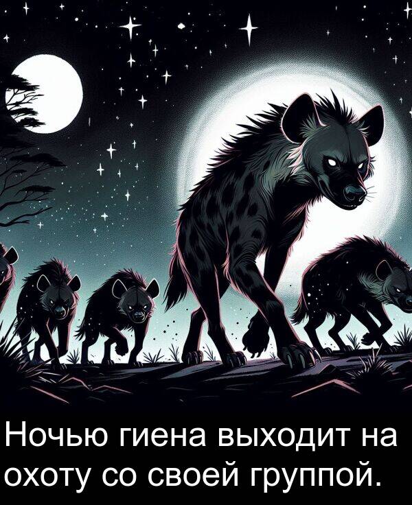 своей: Ночью гиена выходит на охоту со своей группой.