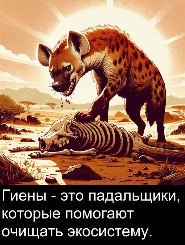которые: Гиены - это падальщики, которые помогают очищать экосистему.