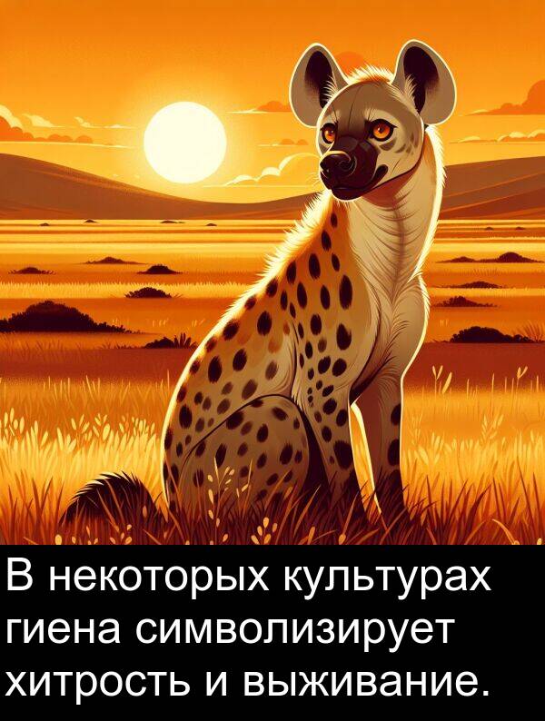 культурах: В некоторых культурах гиена символизирует хитрость и выживание.