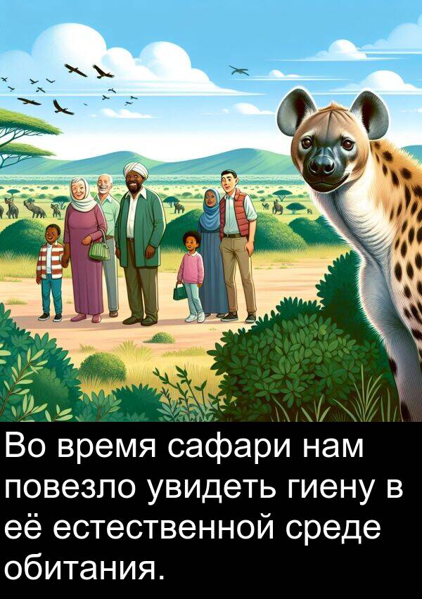 обитания: Во время сафари нам повезло увидеть гиену в её естественной среде обитания.